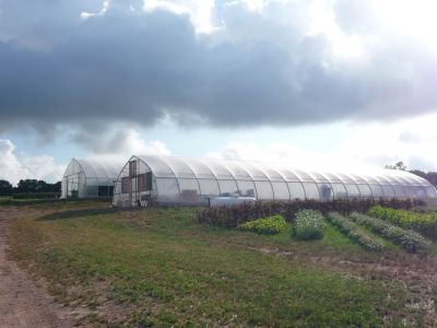 Welcome - Living Hope Farm